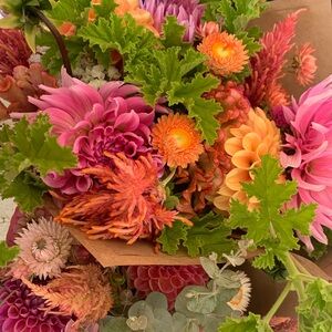 Meet your Posher, Reina